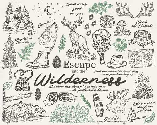 Escape into the Wilderness vector hand drawn illustration set
