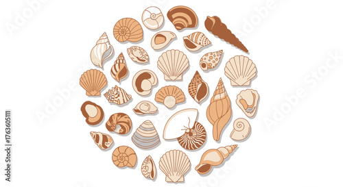  Seashells circle arrangement in cartoon style on white background
