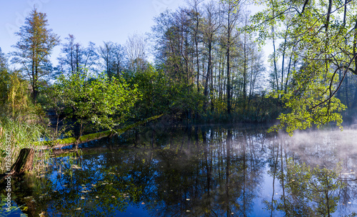 Fototapeta Naklejka Na Ścianę i Meble -  Jesienne widoki na Warmii 2025