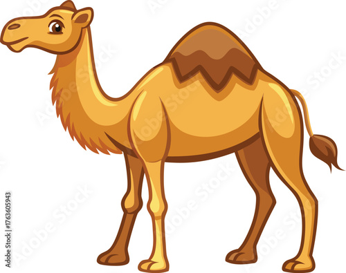 Camel vector illustration | Isolated desert animal graphic