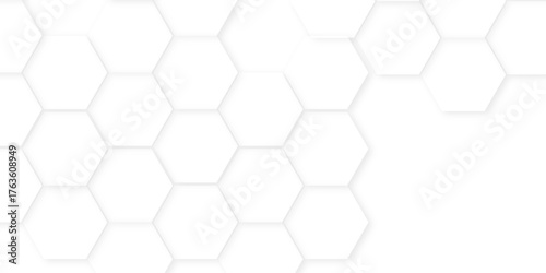 Abstract background with hexagon, modern abstract vector polygonal pattern. Abstract white and grey color hexagonal geometric background with copy space, Abstract white hexagon concept background,