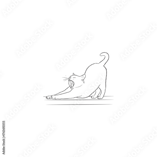 Tent with sofa and chairs inside