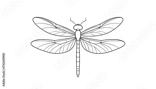 Black and white illustration of a dragonfly. The insect features delicate wings with intricate vein patterns and a long, slender body