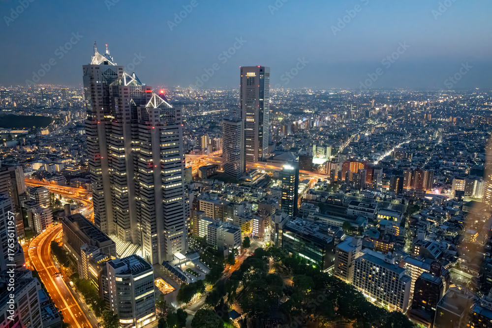 Fototapeta premium Tokyo illuminated skyline stretching into the night from a high Shinjuku tower