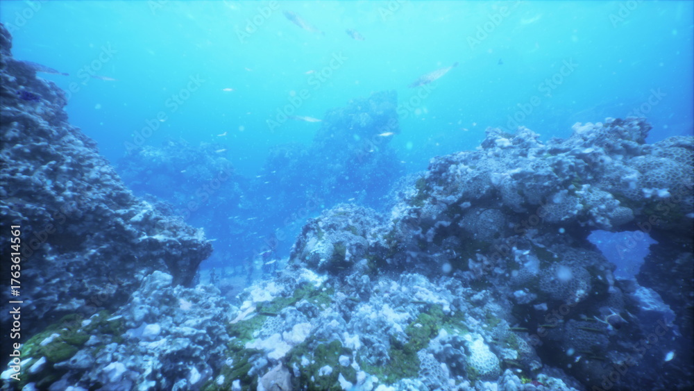Obraz premium Diving beneath the surface reveals a stunning underwater landscape filled with colorful coral formations and schools of fish amidst clear blue waters, showcasing the beauty of ocean ecosystems.