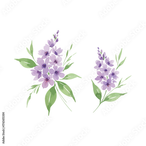 Purple lilac flowers and green leaves watercolor illustration