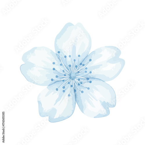 Light blue cherry blossom flower watercolor illustration