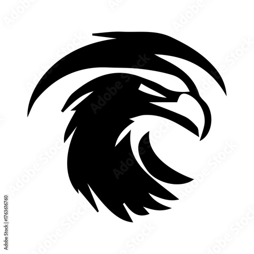 Eagle Head Profile Designed with Curving Lines Suggesting Rapid Motion