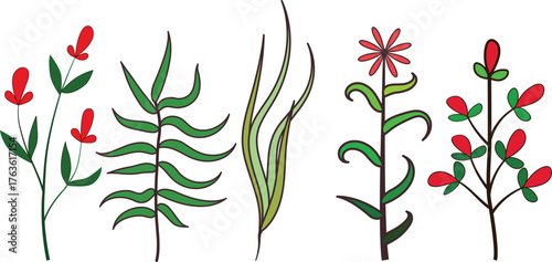 Collection of five hand-drawn botanical illustrations: red flowers, green fern, grass leaves, pink star-shaped flower, and bushy red buds