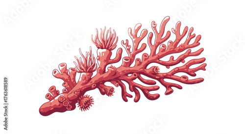 Red Coral Reef with Anemones Underwater Life Illustration
