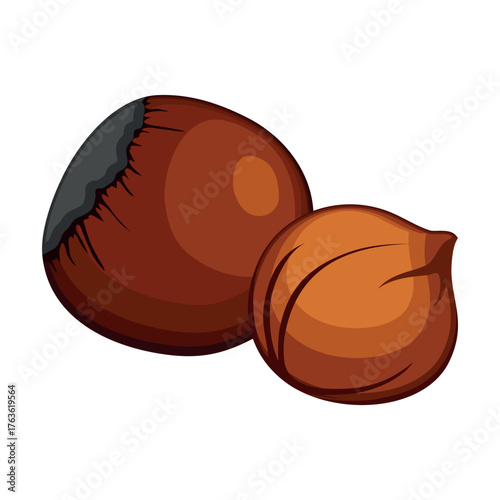 Realistic fresh hazelnut nuts white background - Vector illustration