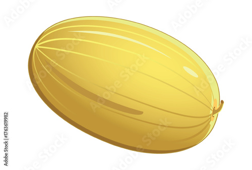Realistic ripe fresh melon against white background - Vector illustration