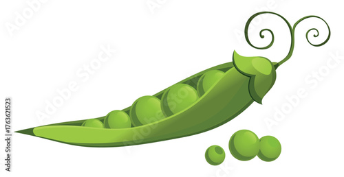 Realistic fresh ripe pea pod isolated on white background - Vector illustration