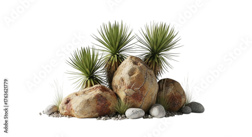 Desert landscape with yucca plants and rocks isolated on transparent background