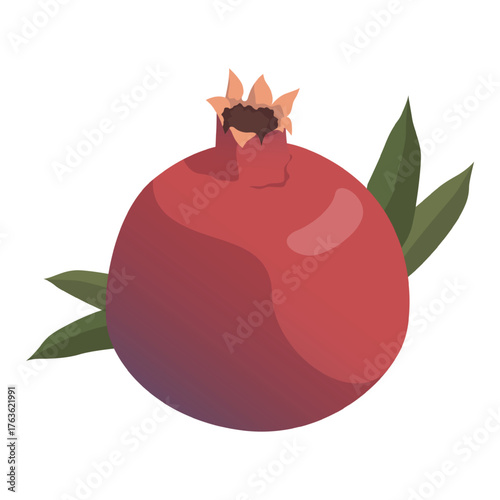 Realistic fresh ripe pomegranate isolated on white background - Vector illustration