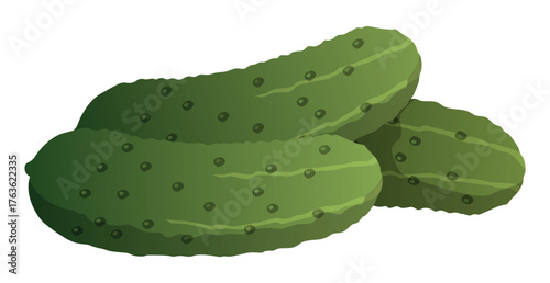 Realistic ripe fresh cucumber on white background - Vector illustration