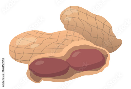 Realistic roasted peanut nuts white background - Vector illustration