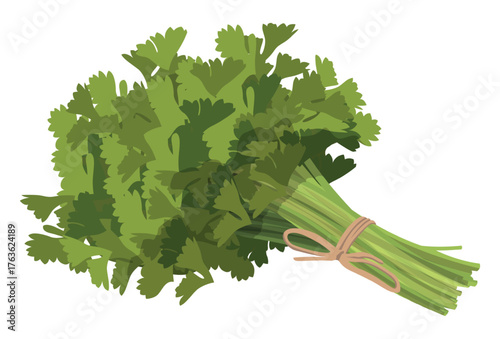 Realistic fresh parsley leaves on white background - Vector illustration