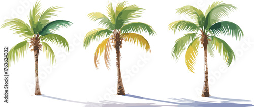 Watercolor illustration of three tropical palm trees with green leaves, summer beach nature art, exotic botanical design, tropical landscape decoration