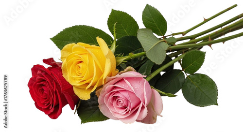 Three colorful roses isolated on transparent background, a bouquet of beauty