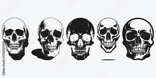 scull sketch illustration vector set