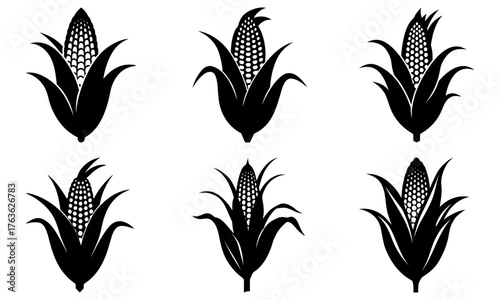 Harvest fresh corn icons for fall and autumn celebrations, Thanksgiving design elements, and healthy eating promotions with modern farm style appeal
