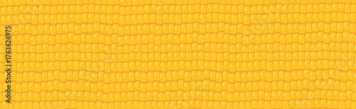 Panoramic yellow - orange corn grain background - Vector illustration