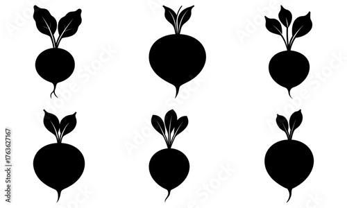 Fresh beets vector collection for healthy eating projects, modern farm to table designs, vibrant produce market ads, and organic agriculture promotions