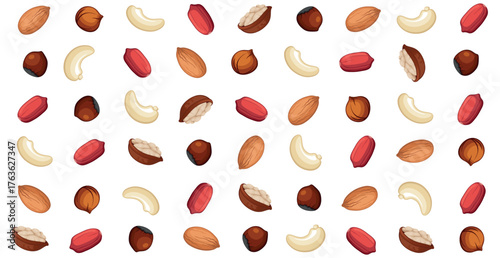 Panoramic walnut pattern, different varieties of nuts - Vector illustration