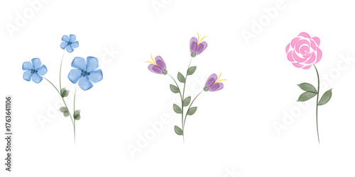 Three illustrations showcase watercolor flowers. There a blue flower, a purple flower, and a pink rose. All the flowers have green stems and leaves, and are against a plain white backdrop.