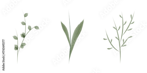 Three watercolor drawings of simple green plant stems and leaves. These delicate illustrations suggest growth and conservation, appropriate for environmental designs.