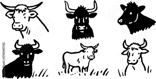 Cow and bull head illustrations in a simple line art style. Black and white vector illustration of agricultural animals set against a minimal background.