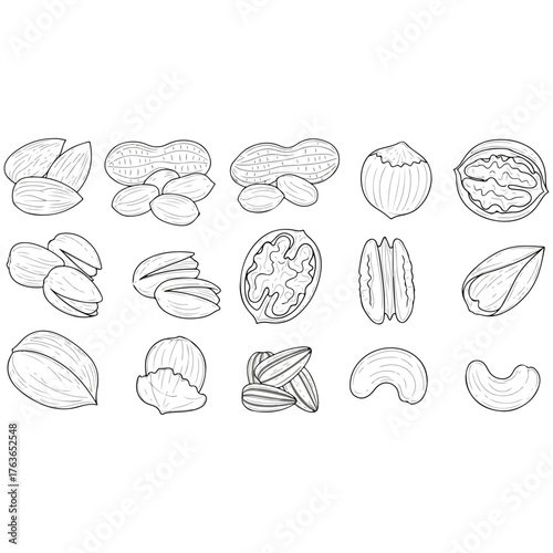 Assortment of various nuts in a line, perfect for healthy snacking and culinary uses.
