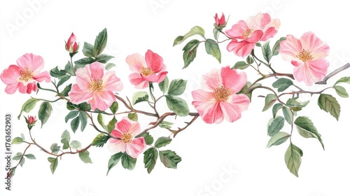 Delicate Pink Flower Branch with Green Leaves and Soft Petals