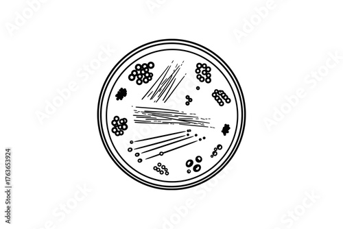 Bacterial culture growth on agar plate showcasing diverse microbial colonies in laboratory setting