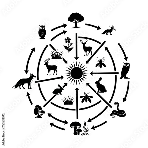 Black and white circular illustration depicting a food web with various animals, plants, and sun in the center