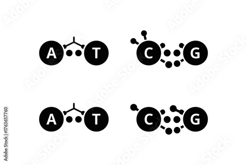 Molecular structure illustration depicting DNA components with circular shapes and connections