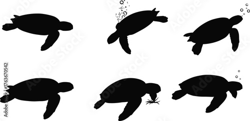 Silhouette sea turtles swimming, ascending, descending, interacting—black and white vector illustration for marine wildlife, ocean nature, anatomy concept