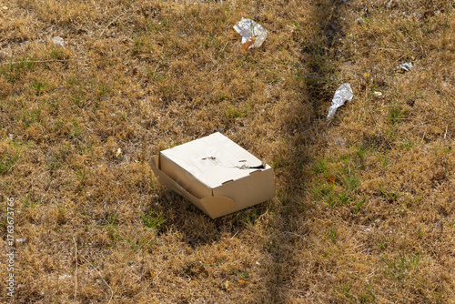 Cardboard box and trash littering dry grass environment