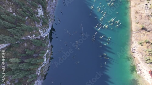 An aerial view of tree trunks in Lake Kaindy, a popular tourist destination in the Almaty region of southeastern Kazakhstan, on an autumn morning.