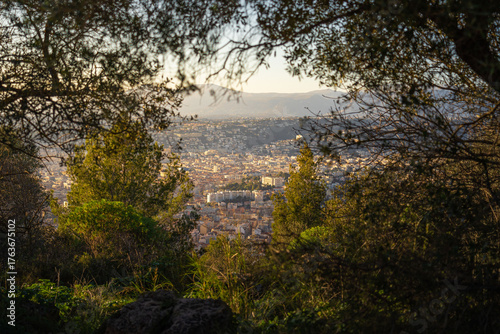 Nice view of the city between trees