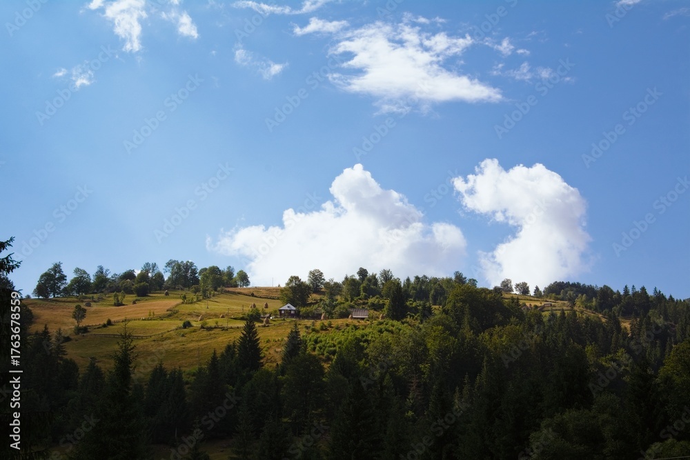 Obraz premium Mountain meadow under blue sky