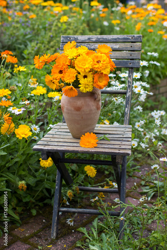 Beautiful fresh summer flowers in a vase on chair