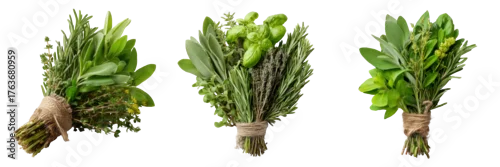Panel kuchenny z motywem Three bunches of fresh green herbs tied with twine isolated on a transparent background 