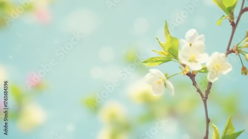 Gentle Pastel Spring Background with Blooming Cherry Blossom Branches and Bokeh