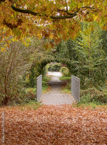 Eine Brücke im Park im Herbst