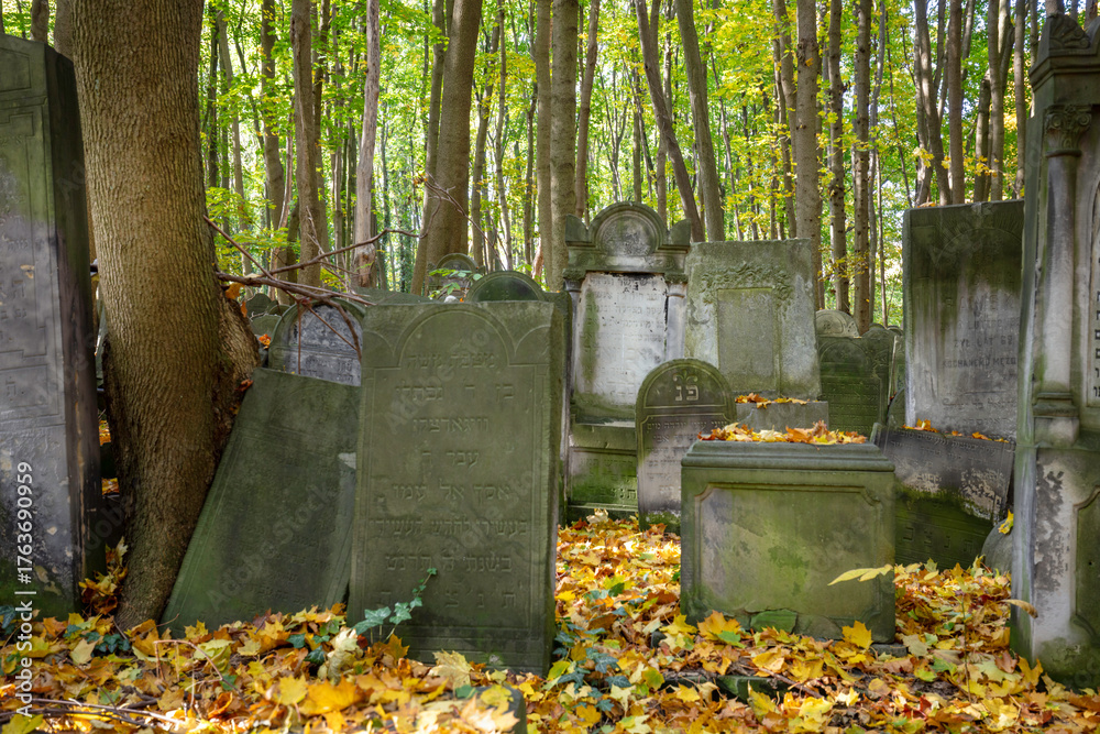 Fototapeta premium Cmentarz. Zabytkowy cmentarz żydowski w Warszawie