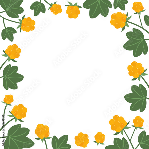 Cloudberry frame border, natural design element.