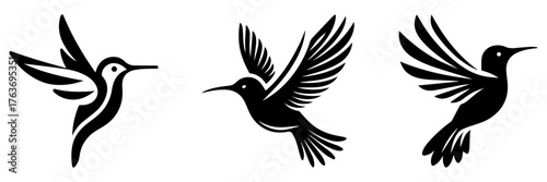 Hummingbird Silhouettes: Elegant Black Bird Designs in Flight.
