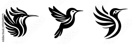 Hummingbird Silhouettes: Elegant Black Bird Designs.